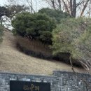 그린골프존 | 충북 진천 화랑CC 라운딩 | 코스 난이도, 페어웨이, 그린 컨디션(골프존카운티 후기)