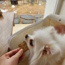 구암동184 이미지