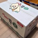 김**-54