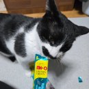 미오크리미 추르 츄르 태국 고양이 간식 참치 성분