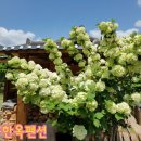 부곡한옥펜션 이미지