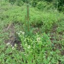 선현농장 이미지