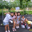 부용초등학교 이미지