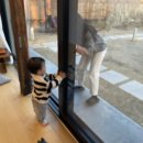 리스테이 연월 이미지