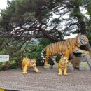 문수산자연휴양림 이미지