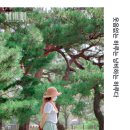 아름다운일 Daum카페
