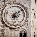 예동물병원 이미지