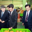 경남단감 원예농업협동조합 이미지