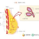 청주제일외과의원 이미지