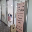 다다래쉬 - 고양시 덕양구 | 다다래쉬