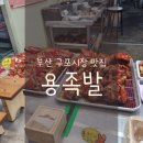 용족발