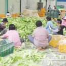 사현네보름영농조합법인 이미지