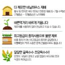 모단농장 이미지