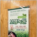 보성녹차돼지 | 노원 맛집 올바른솥뚜껑삼겹살! 100%국내산 녹차먹인돼지 보성녹돈의 찐맛 후기