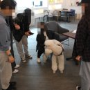 보람동물병원 이미지