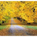 전주 하늘 이미지