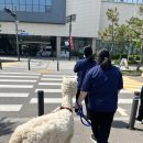 사육사스트릿 이미지