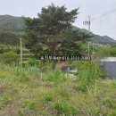 진전면101 이미지