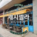 방배로 46 (1) | 판교 카페 세시셀라 │ 당근케이크 맛집, 강민경 추천 카페 후기