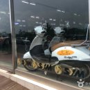 한라여행사 이미지