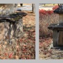 서부리 삼층석탑(西部里 三層石塔) 이미지