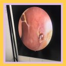 다봄이비인후과의원 이미지