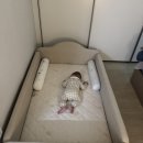 [아씨방 가구 아기침대] 6개월 아기 침대 고민 해결! '아씨방 가구 핸디 베이비 저상형 가드 침대'로...