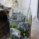 책상 위의 작은 정원, 테라리움 만들기 이미지