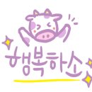 신나는 중국어 이미지