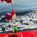 수양호 | 인천 배낚시 수양호 쭈꾸미 낚시 후기, 주차 가격 채비 준비물 떡볶이 총정리