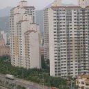 대전신세계공인중개사사무소 이미지