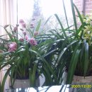 열미리보건진료소 이미지