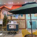 썸 무인호텔 | 명동이색카페 명동고양이카페 루프캣미 고양이카페 명동점 이용후기