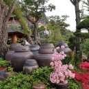 수목원약수터 이미지