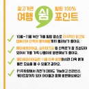 명서2주민운동장 축구장 | 부산 화명생태공원 가을 가볼만한곳 댑싸리 억새밭 개화상황 위치