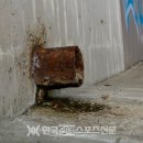 의류패션(심화) 이미지