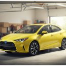 동부렌트카 이미지