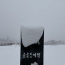 에덴행복하우스 | 경기도 양평 | 강아지와 함께하는 촌캉스 독채펜션[클로드에덴 비움] 숙박 후기