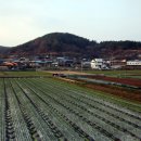 동정보건진료소 티스토리