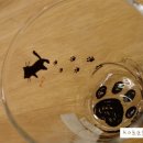 고양이발자국 이미지