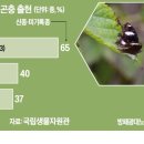 답동민박 이미지