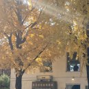 효자로 L 이미지