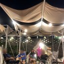 주주애견 | [인천/강화] 강화도 동막해변 애견동반카페 K131 내돈내산후기