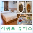 제주서귀포 바다보이는 유어스호텔 내돈내산