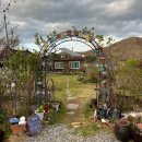 아기강아지 | 묵호여행 숙소 추천 🌿 동해 한옥독채 펜션 후기 (아기+강아지 동반)