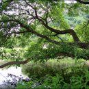 생명의 그물 2 이미지