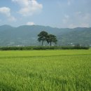 오늘도 남해 이미지