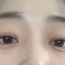 그라지오 이미지