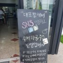 대포칼제비 이미지