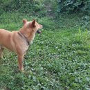 멍구멍구 이미지